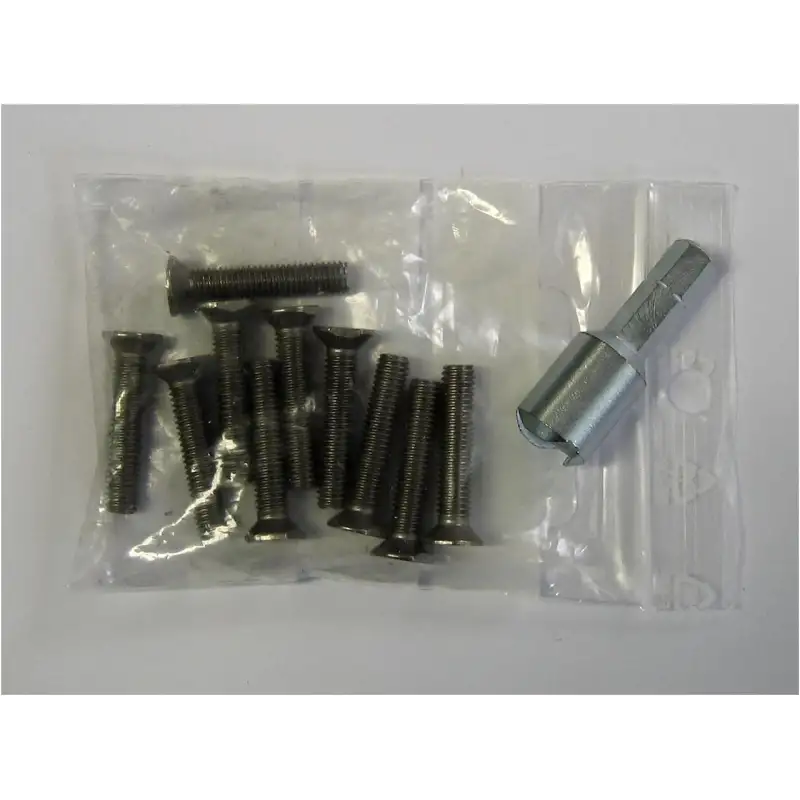 10 Vis M5/25 + 1 embout