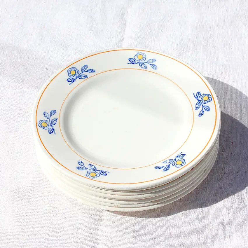 Assiettes anciennes décorées de fleurs bleues