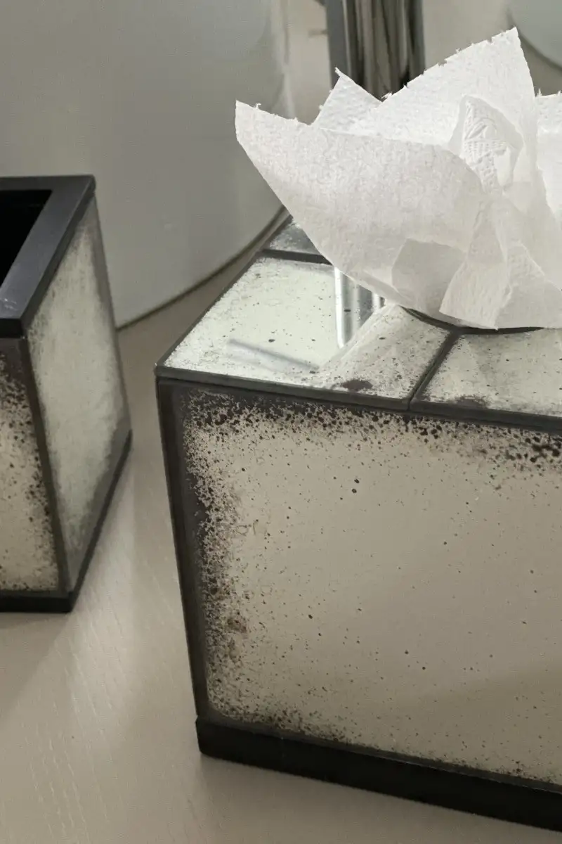 Boîte de Cleenex AX0002_VET_000-0074