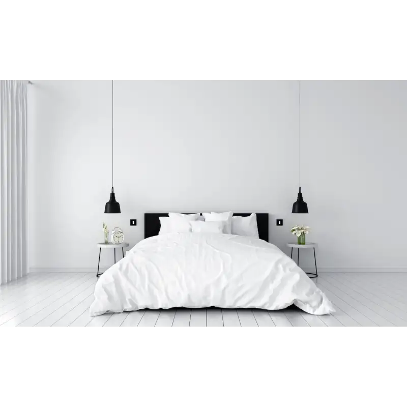 Façade 'M' acier verni double horizontale 1 prise Schuko 1 TV-Fm-Sat magnétique