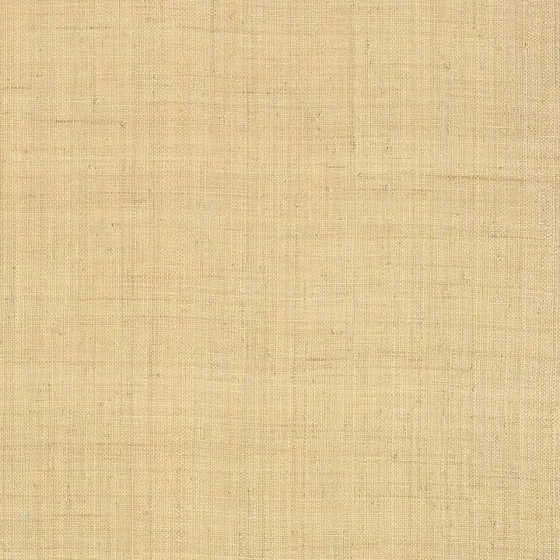 Paille Carolina Raffia